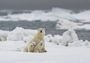 Κλιματική αλλαγή – Ανησυχητική έρευνα προβλέπει ότι η βροχή θα αντικαταστήσει ταχύτερα το χιόνι στην Αρκτική