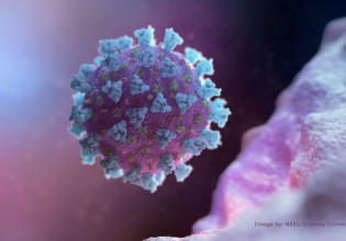 Κοροναϊός – Ποια αντισώματα «σκοτώνουν» τον ιό της Ουχάν – Πώς τα αποκτούμε, πόσο αποτελεσματικά είναι έναντι της «Δέλτα»