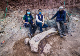 Βραζιλία – Ανακαλύφθηκε νέο είδος δεινοσαύρου – Εκπληκτοι έμειναν οι επιστήμονες
