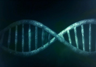 Κοροναϊός – Ανακαλύφθηκε γονίδιο που διπλασιάζει τον κίνδυνο θανάτου