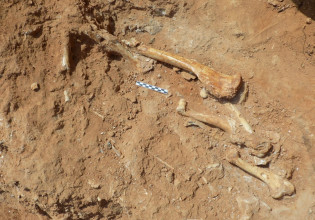 Λέσβος – Βρέθηκαν απολιθωμένα οστά ζώων που έζησαν στο νησί πριν από 2 εκατ. χρόνια