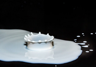 Γάλα – Πώς θα διαμορφωθεί η παραγωγή – Με ποιο τρόπο θα ωφεληθούν οι κτηνοτρόφοι