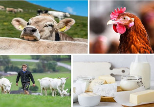 Τι θα γίνει αν μειωθεί η κατανάλωση λίπους στην ΕΕ και η Κίνα αποκτήσει αυτάρκεια σε κρέας και γαλακτοκομικά