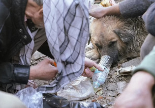 Αφγανιστάν – Άστεγοι δίνουν ηρωίνη σε σκύλους για να τους κρατούν ζεστούς
