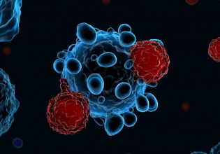 Κοροναϊός – Πώς λειτουργούν τα Τ λεμφοκύτταρα κατά της παραλλαγής Όμικρον 