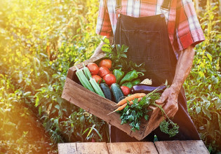 Αγροτικά προϊόντα – Ποια είναι η τάση στις εισαγωγές – Ο ρόλος τους στην εφοδιαστική αλυσίδα