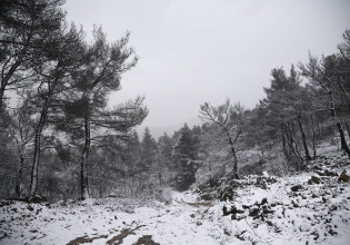 Κακοκαιρία «Ελπίδα»: «Έρχονται χιονολαίλαπες και χιονοκαταιγίδες»