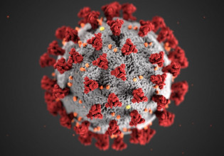 Κοροναϊός: Πλησιάζει το τέλος της πανδημίας, αλλά θα μάθουμε να ζούμε με τον ιό