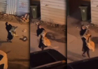 Βίντεο που σοκάρει – Κορίτσι προσπαθεί να μαζέψει το οικόσιτο λιοντάρι της από τον δρόμο