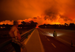 Κλιματική αλλαγή: Ο ΟΗΕ προειδοποιεί για δραματική αύξηση των δασικών πυρκαγιών