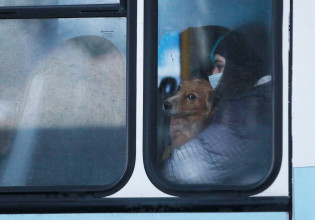 Πόλεμος στην Ουκρανία: Πολίτες αναζητούν καταφύγια στο μετρό κρατώντας κουβέρτες και τα κατοικίδιά τους
