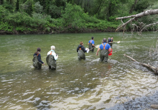 Energean: The Nestos wetland is free of hydrocarbons