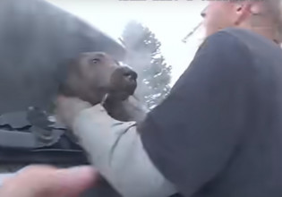 ΗΠΑ: Σερίφης διέσωσε σκύλο από φλεγόμενο αυτοκίνητο