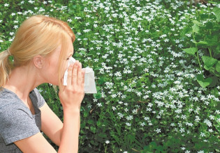 Εαρινές αλλεργίες: Οι ομοιότητες και οι διαφορές με τον κοροναϊό