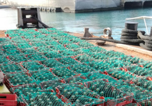 Σχέδιο «Ναυάγιο» στην Κρήτη: Παλαιώνουν 5.000 φιάλες κρασιού στον βυθό της θάλασσας