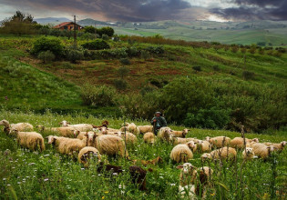 ΣΕΚ: Καταβολή άμεσων ενισχύσεων για αντιμετώπιση του κόστους παραγωγής