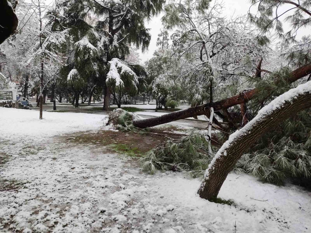 Κατερίνη: Κλείνει το δημοτικό πάρκο λόγω πτώσης δέντρων