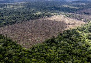 Αμαζόνιος: Αμφιλεγόμενη πρόταση διάσωσης με χορηγίες NFT
