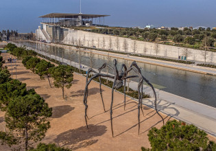 Γιγάντια αράχνη προσγειώθηκε στο Σταύρος Νιάρχος – Απίθανες φωτογραφίες