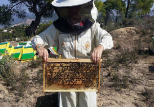 Μελισσοκομία: Τι αλλάζει στο πρόγραμμα στήριξης των Μικρών Νησιών του Αιγαίου