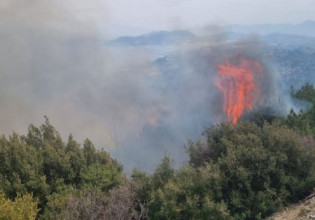 Φωτιά στη Σάμο: Ενισχύονται από την Αθήνα οι δυνάμεις της Πυροσβεστικής