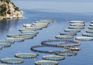 Aquaculture: Lack of spatial planning puts brake on growth