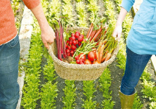 Από το αγρόκτημα στο πιάτο: Πώς θα επιτευχθεί ένα πιο βιώσιμο σύστημα τροφίμων