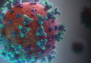 Κοροναϊός: Βρήκαν πώς πυροδοτεί μαζική φλεγμονή – Ο ρόλος των εμβολίων