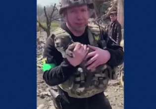 Ουκρανία: Κουτάβι ανασύρθηκε ζωντανό από τα συντρίμμια βομβαρδισμένου κτηρίου