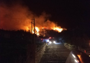 Πύρινη κόλαση στην Ηλεία: Εκκενώθηκε οικισμός – Καίγεται αναγεννημένο και συμπαγές δάσος