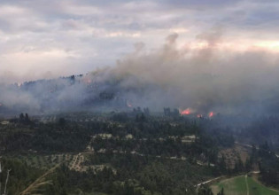 Χαλκιδική: Φωτιά σε δύσβατη δασική περιοχή στη Μόλα Καλύβα – Ενισχύονται οι δυνάμεις της πυροσβεστικής