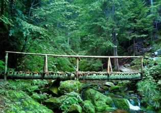 Δάσους Φρακτού Παρανεστίου: Διεκδικεί την αναγνώριση από την UNESCO ως μνημείο παγκόσμιας κληρονομιάς