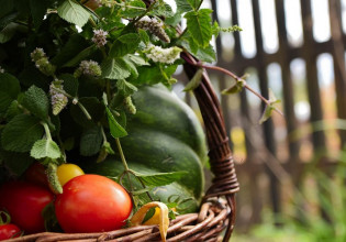 Αγροδιατροφή: Τι κοινό έχει η υγιεινή διατροφή με τα φυτικά καλλυντικά