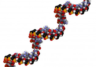 Ενας RNA κόσμος