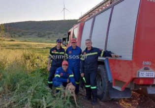 Λιβαδειά: Σκύλος έπεσε σε πηγάδι 14 μέτρων – Τον έσωσε η Πυροσβεστική