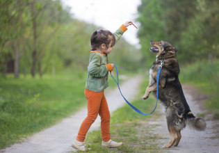 Ηπατίτιδα σε παιδιά: Διερευνάται πιθανή σχέση μεταξύ επαφής με σκύλους και αύξησης κρούσματων