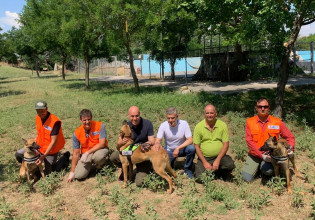 Εκπαιδευμένα λυκόσκυλα θα περιπολούν για φόλες σε προστατευόμενες περιοχές της Ελλάδας