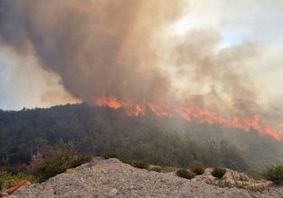 Φωτιά: Πυρκαγιά σε δασική έκταση – Κατευθύνεται προς τη θάλασσα