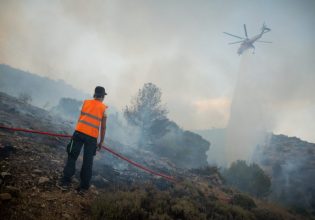 Κάλαμος: Ξέσπασε πυρκαγιά σε οικόπεδα – Συναγερμός στην Πυροσβεστική