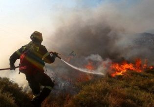 Ναύπακτος: Συναγερμός για μεγάλη φωτιά – Επιχειρούν και εναέρια μέσα
