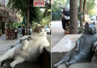 Τομπίλι: Η γάτα – σύμβολο του… αράγματος που έγινε άγαλμα στην Κωνσταντινούπολη