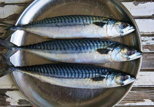 Πώς συνδέεται η κατανάλωση ψαριού και γαλακτοκομικών με τον καρκίνο