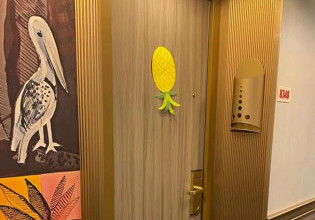 Τι σημαίνει ο ανάποδος ανανάς που εμφανίζεται συνέχεια σε πόρτες ξενοδοχείων – Το… πονηρό μυστικό