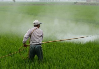 ΕΕ: Μείωση στην χρήση χημικών φυτοφαρμάκων – Τι δείχνουν τα στοιχεία