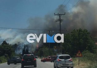 Φωτιά στην Εύβοια: Χωρίς ρεύμα το Αλιβέρι και ο Κάραβος