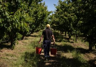 Επισιτιστική κρίση: Δεν θα υπάρξει στην Ελλάδα ούτε τώρα ούτε στο μέλλον λέει ο Γεωργαντάς