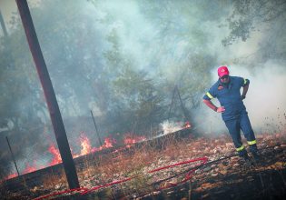 Φωτιά στην Ιτέα: Στάχτη 3.000 στρέμματα γεωργικής έκτακτης – Κάηκαν υπεραιωνόβια δέντρα στην Άμφισσα