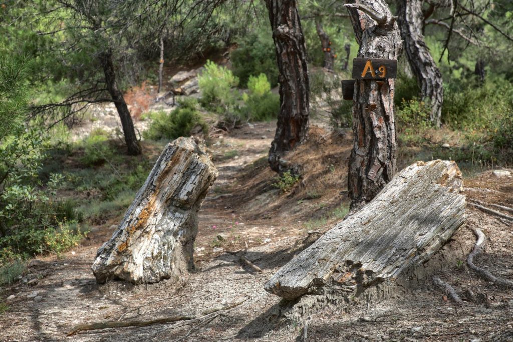 Άρση των περιορισμών ζητάει ο Δήμαρχος Σουφλίου