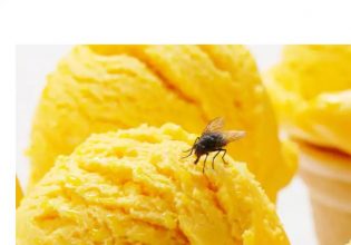 Μύγες: Πώς να απαλλάξετε το σπίτι σας από τις μύγες