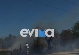 Εύβοια: Φωτιά στον Βασιλικό του Δήμου Χαλκιδέων